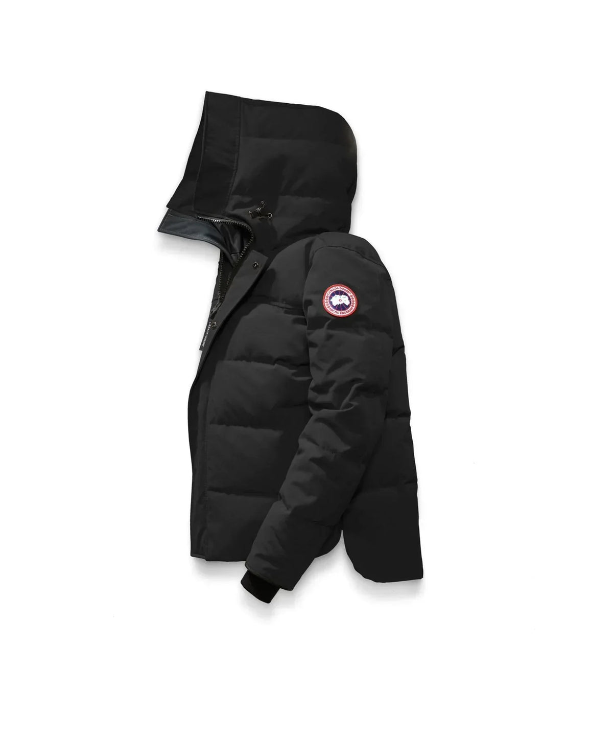 black jacket 9